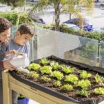 Cómo cultivar un huerto de verduras en la Zona 4 con éxito