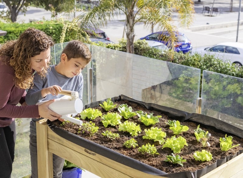 Cómo cultivar un huerto de verduras en la Zona 4 con éxito