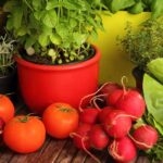 Cómo cultivar vegetales en cestas colgantes de forma exitosa