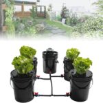 Cómo cultivar vegetales en un balde de 5 galones