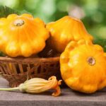 Cómo cultivar y qué tipos de calabazas de invierno existen