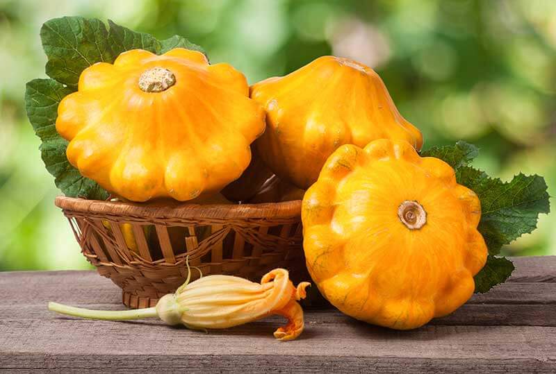 Cómo cultivar y qué tipos de calabazas de invierno existen