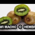 Cómo diferenciar el sexo de las plantas de kiwi en el viñedo