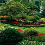 Cómo diseñar un jardín con narcisos y plantas complementarias