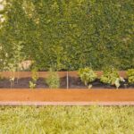 Cómo diseñar un jardín de la rueda medicinal en casa