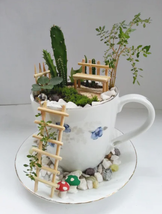 Cómo diseñar y cuidar un jardín en una taza de té