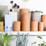 Cómo elegir el tamaño ideal de maceta para tus plantas