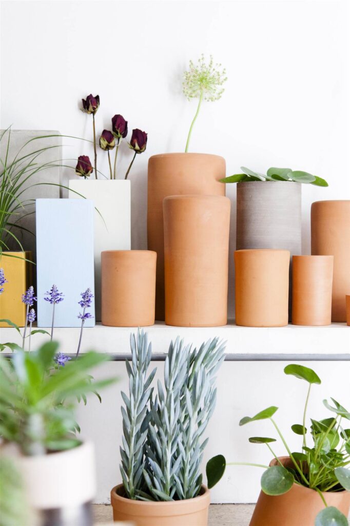 Cómo elegir el tamaño ideal de maceta para tus plantas