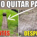 Cómo eliminar el césped esponjoso en mi jardín