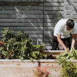 Cómo eliminar enredaderas que dañan parterres de flores