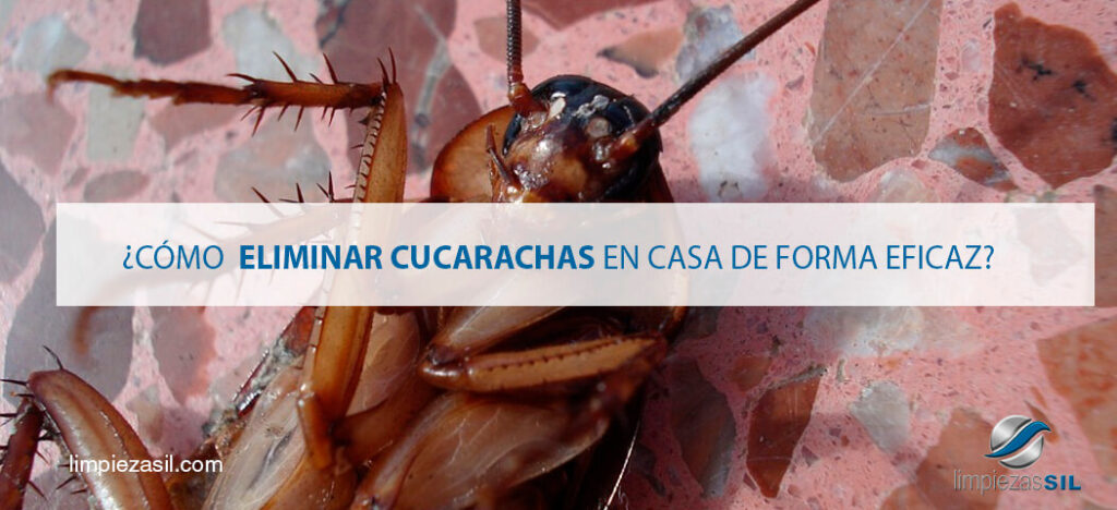 Cómo eliminar las Espinas de Cucaracha eficazmente