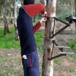 Cómo entrenar una clemátide para trepar por postes o árboles