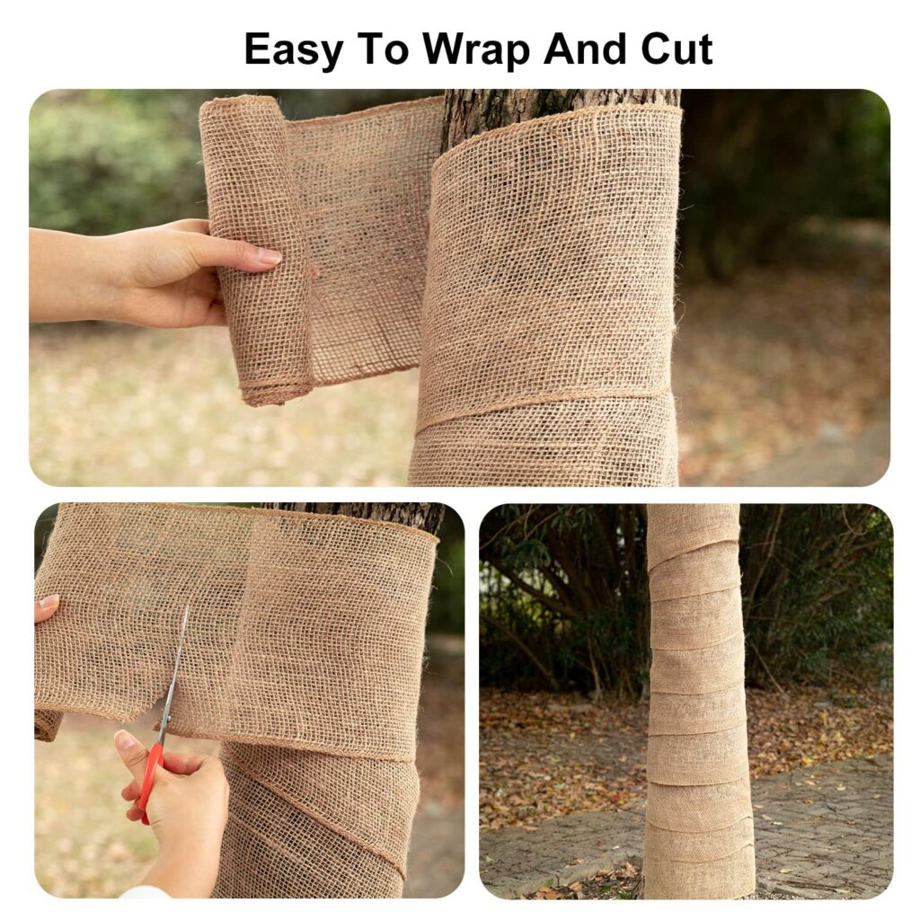 Cómo envolver las palmeras con arpillera en invierno