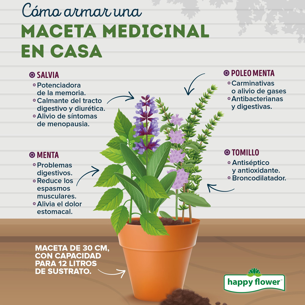 Cómo espaciar plantas de hierbas para un cultivo sano