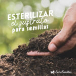 Cómo esterilizar suelo y semillas correctamente en casa
