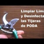 Cómo esterilizar tijeras de poda de forma segura y eficaz