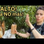 Cómo evitar que las ardillas dañen los árboles