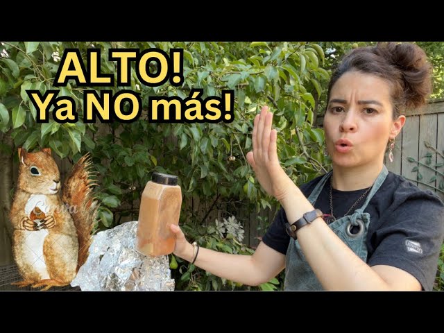 Cómo evitar que las ardillas dañen los árboles