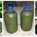 Cómo fabricar y usar estiércol de ortiga como fertilizante