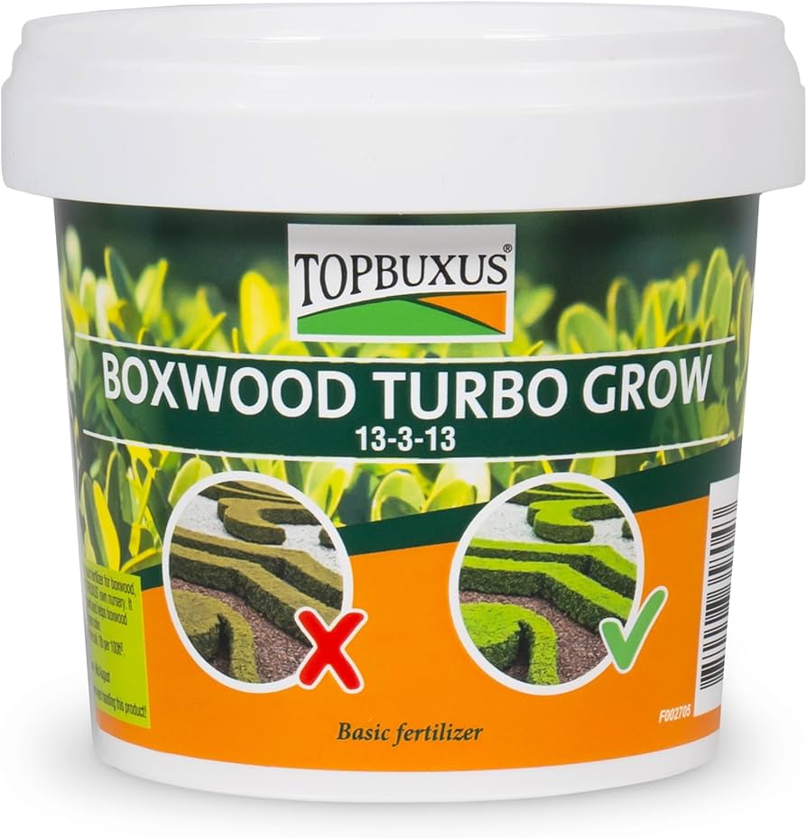 Cómo fertilizar bojes para su alimentación saludable