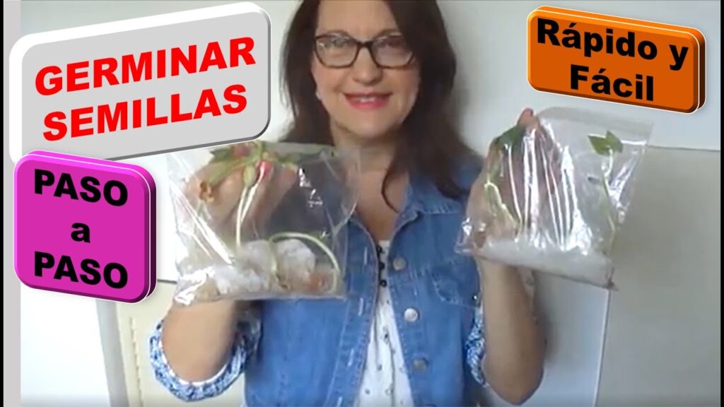 Cómo germinar semillas usando bolsas de plástico