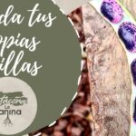 Cómo guardar semillas de okra para plantar más adelante