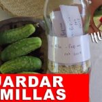 Cómo guardar semillas de sandía correctamente