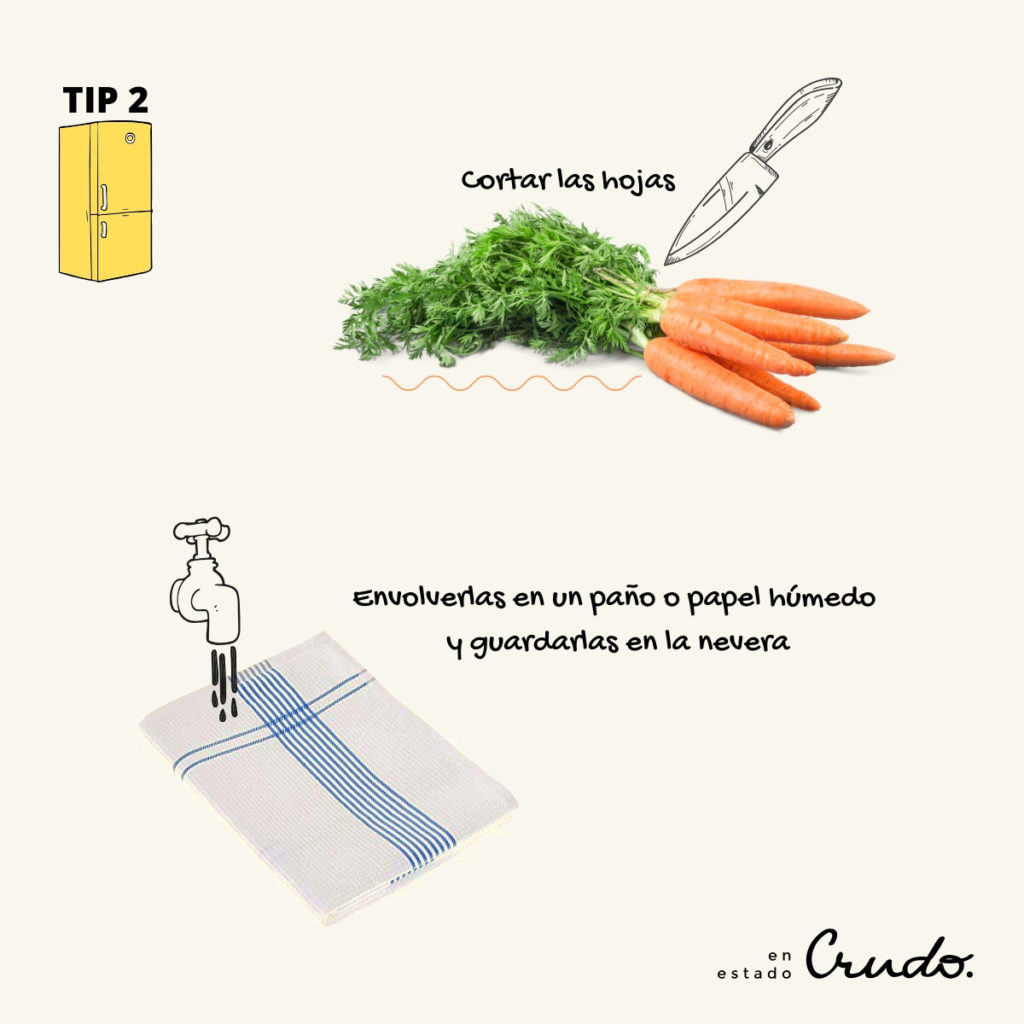 Cómo guardar zanahorias en la tierra para el invierno