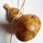 Cómo hacer cantimploras con cáscaras de calabaza