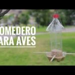 Cómo hacer comedero para pájaros con botellas de refresco