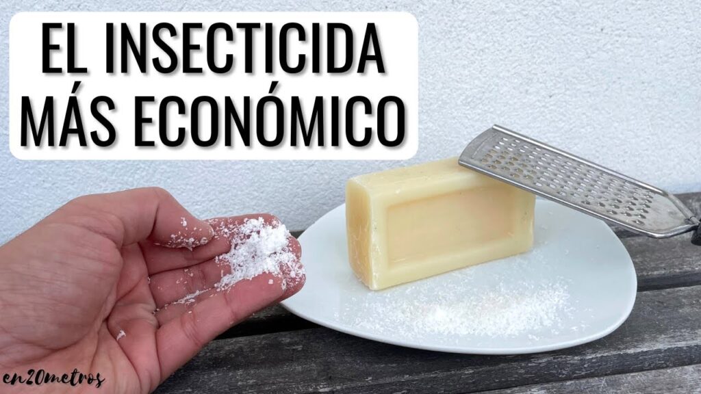 Cómo hacer insecticida casero con horticultural soap