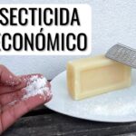 Cómo hacer insecticida casero con horticultural soap