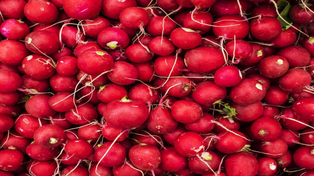 Cómo hacer que el rábano picante sea más picante