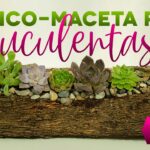 Cómo hacer un macetero con troncos de árboles para plantas