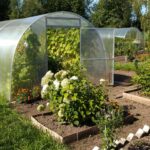 Cómo iniciar un vivero de plantas en casa de forma sencilla