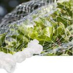 Cómo instalar y mantener las mallas antipájaros en tu jardín