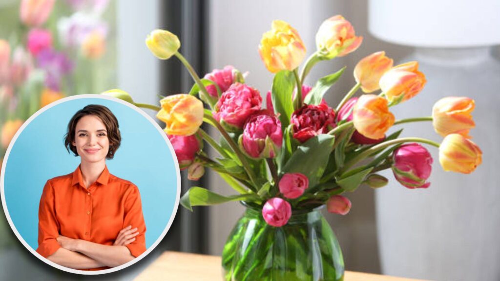 Cómo lograr que los tulipanes florezcan nuevamente