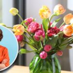 Cómo lograr que los tulipanes florezcan nuevamente