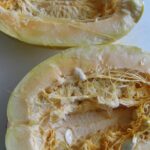 Cómo madura el Spaghetti Squash después de ser recolectado
