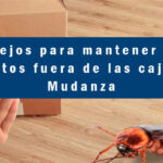 Cómo mantener los insectos fuera del arenero de forma efectiva