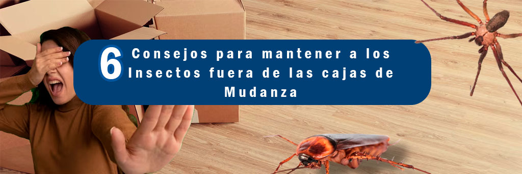 Cómo mantener los insectos fuera del arenero de forma efectiva