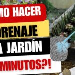 Cómo mejorar drenaje y conservar agua con swales en jardín