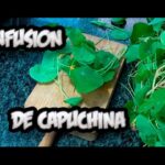 Cómo plantar capuchinas para controlar plagas de insectos