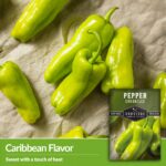 Cómo plantar y cuidar los pimientos Cubanelle en casa