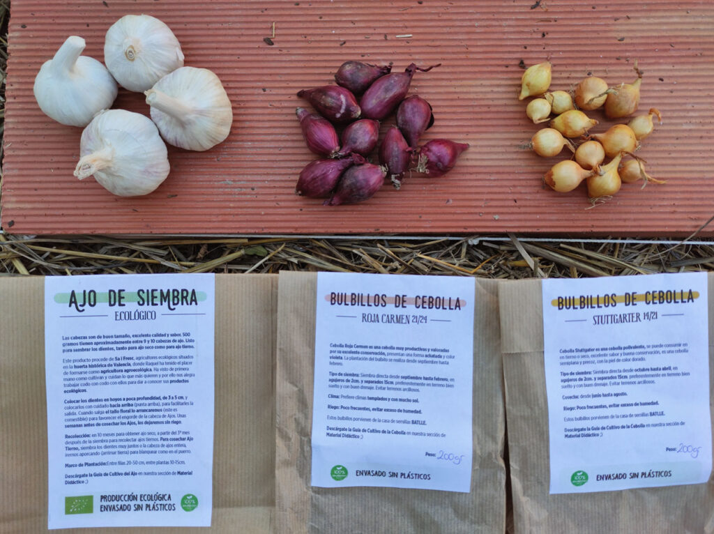 Cómo plantar y cultivar bulbilos de ajo en el tallo