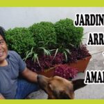 Cómo propagar de manera exitosa árboles de Arrayán