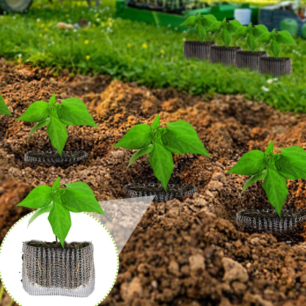 Cómo proteger bulbos de flores de roedores de forma efectiva