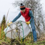 Cómo proteger las plantas del daño causado por la helada