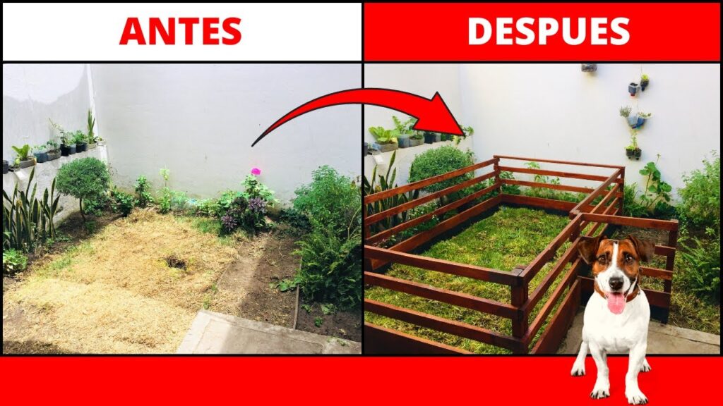 Cómo proteger las plantas del jardín de los perros