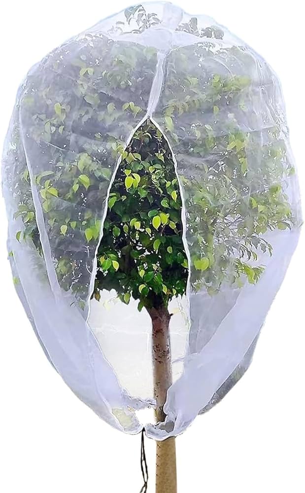 Cómo proteger los árboles de los daños provocados por las cicadas